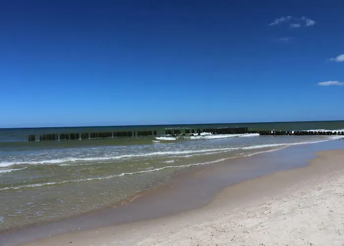 Apartamento Lux - Rybitwa *